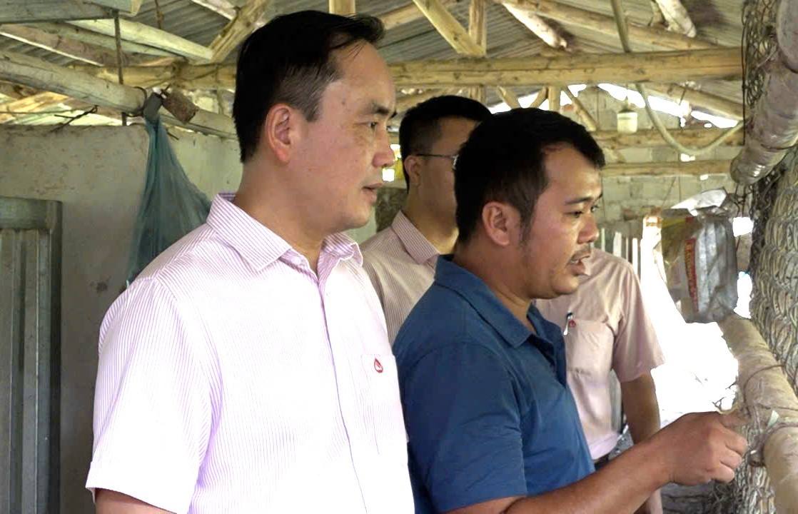 Anh-tin-bai