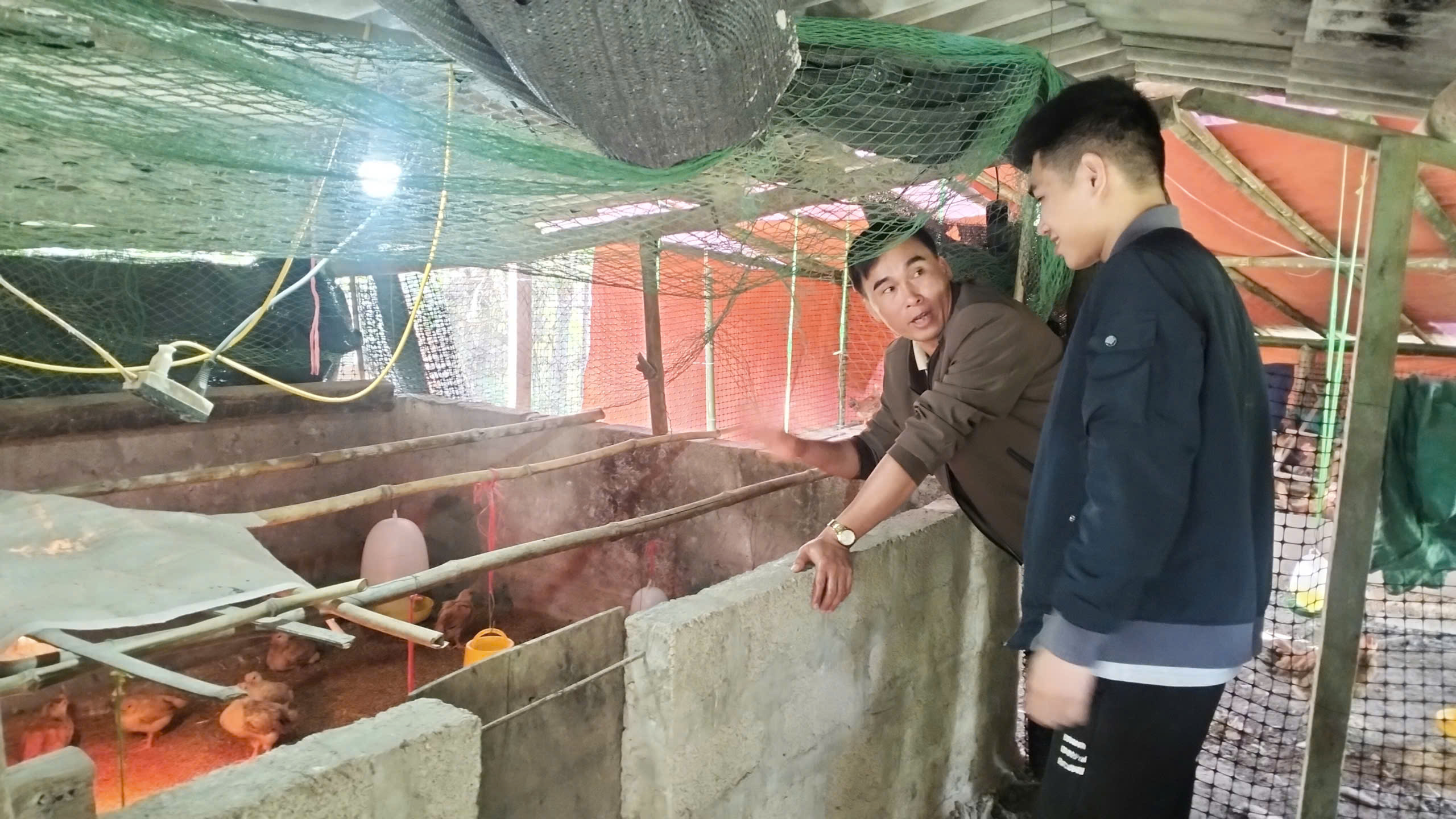 Cấp phát gà và thức ăn cho người dân thực hiện Dự án phát triển sản xuất cộng đồng nuôi gà thịt tại các thôn xã Na Rì