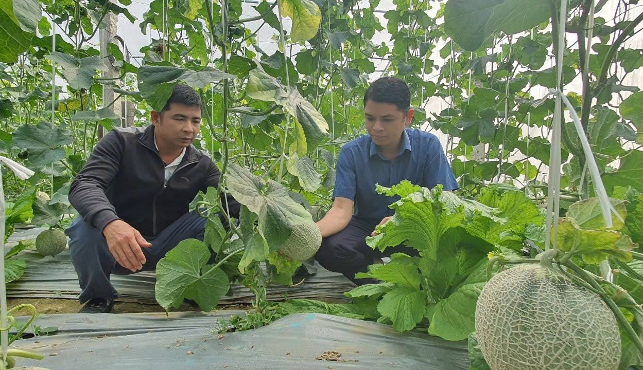Hà Giang: Số hộ nghèo đa chiều giảm 6,26% so với năm 2023