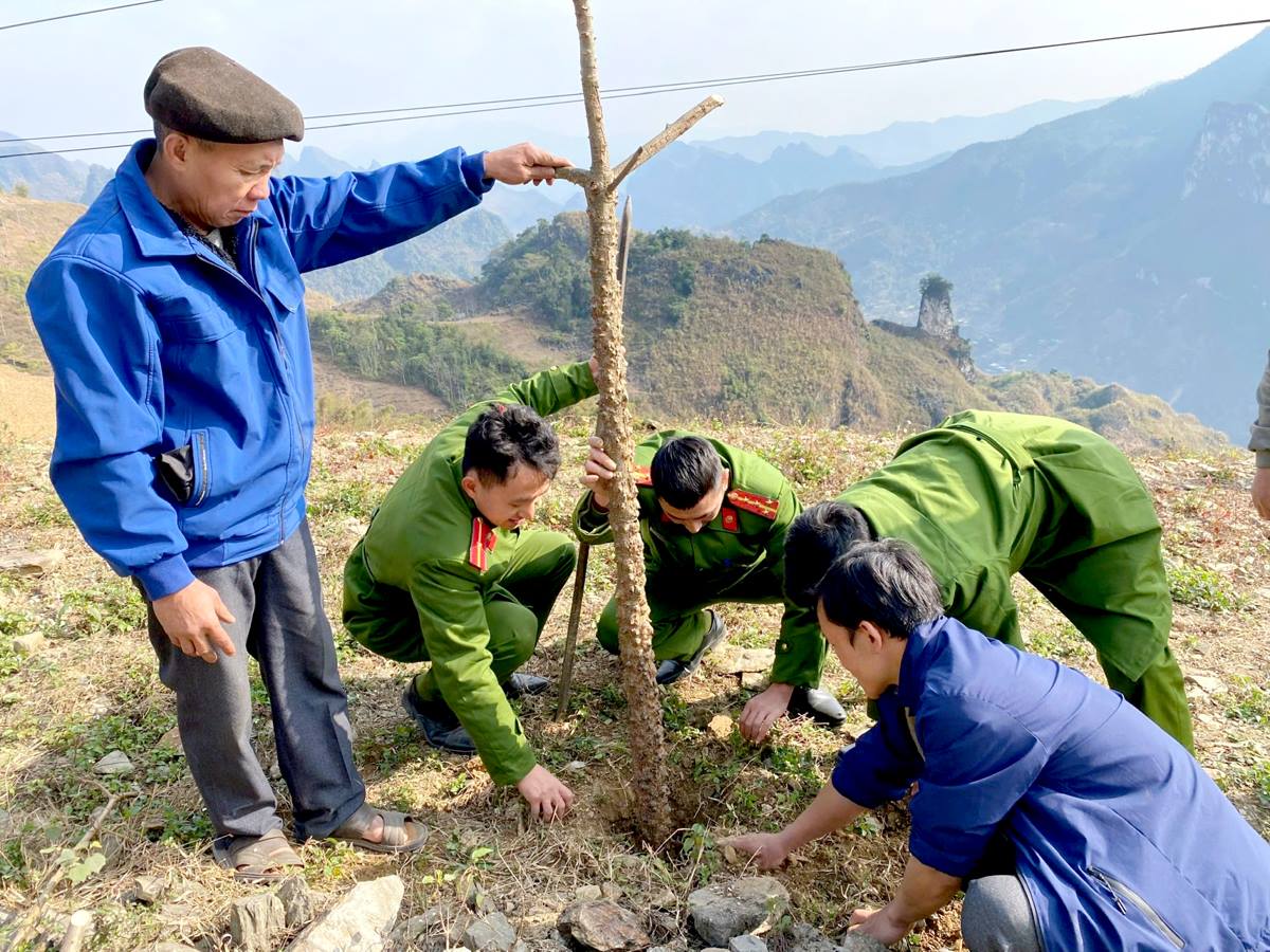 Hà Giang thúc đẩy lâm nghiệp bền vững