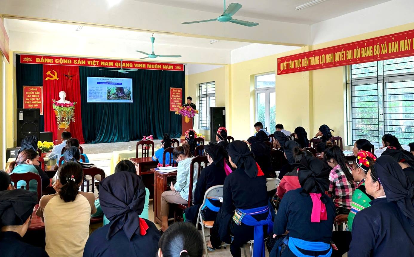 25.3 bản máy.jpg