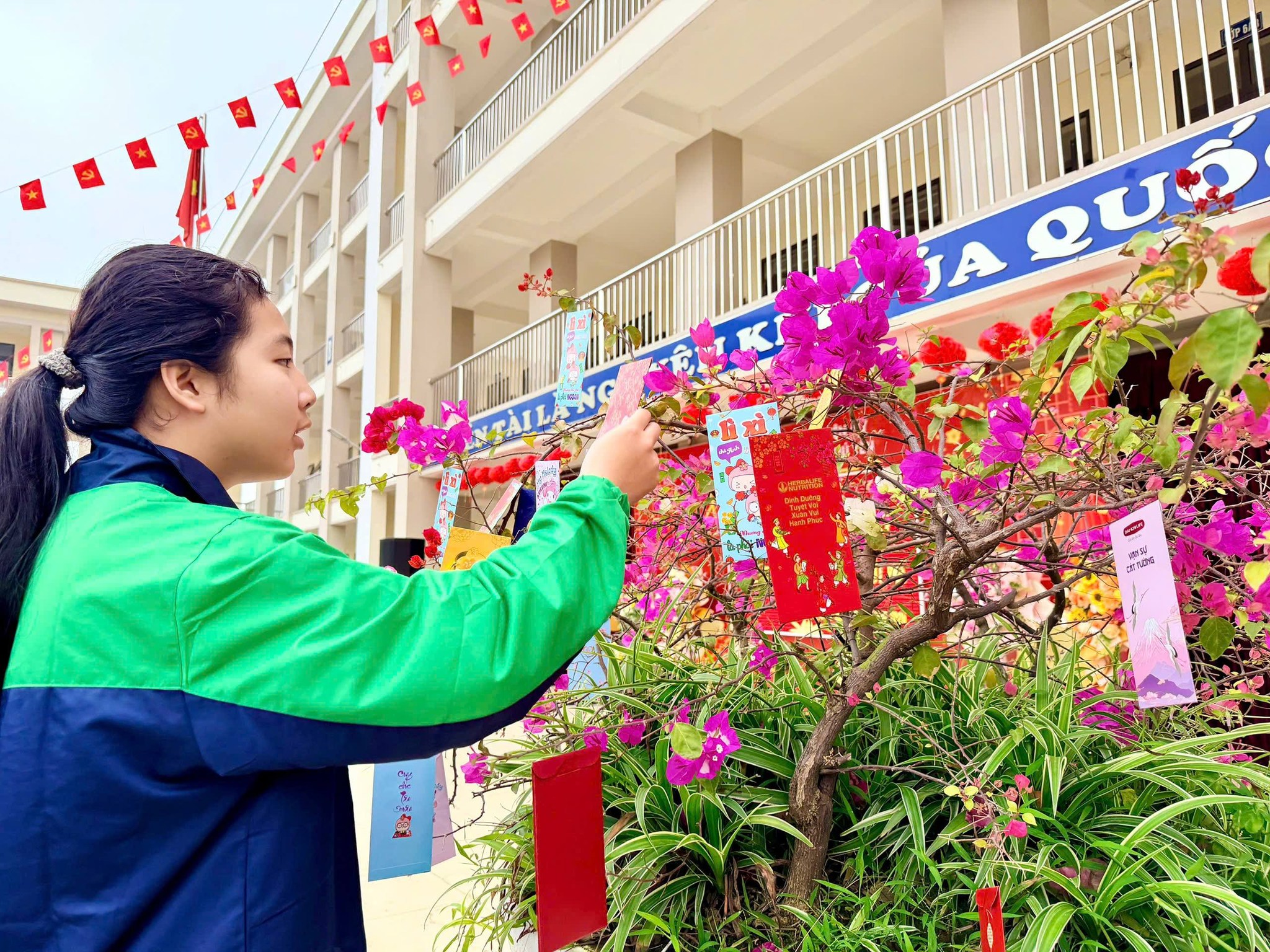 anh tin bai