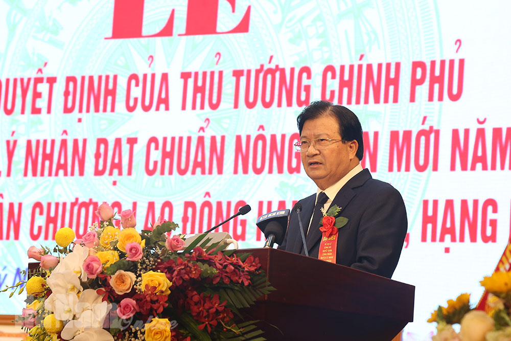 Lý Nhân đón nhận Bằng công nhận đạt chuẩn NTM và Huân chương lao động hạng Nhất hạng Ba