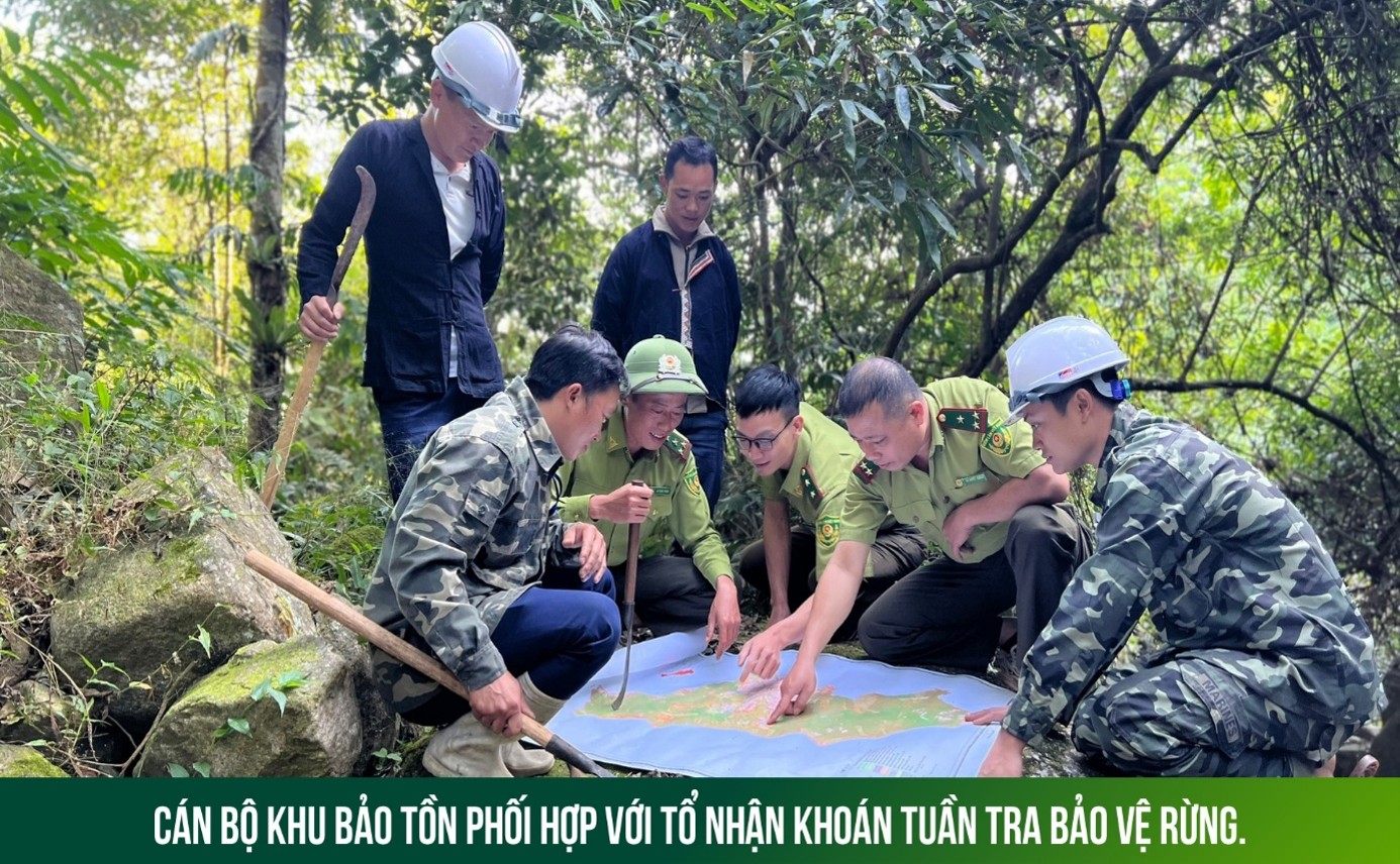 Khu BTTN Hoàng Liên Văn Bàn tăng cường  trách nhiệm quản lý, bảo vệ rừng và đất lâm nghiệp