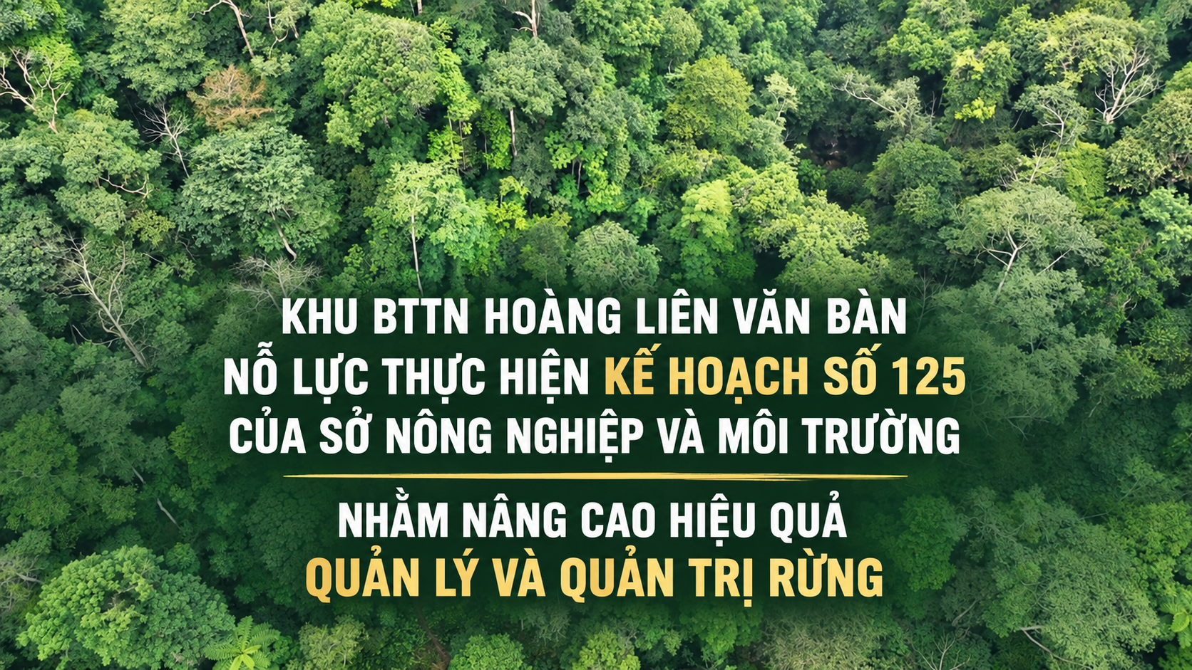 KHU BTTN HOÀNG LIÊN VĂN BÀN NỖ LỰC THỰC HIỆN KẾ HOẠCH SỐ 125 CỦA SỞ NÔNG NGHIỆP VÀ MÔI TRƯỜNG NHẰM NÂNG CAO HIỆU QUẢ QUẢN LÝ VÀ QUẢN TRỊ RỪNG