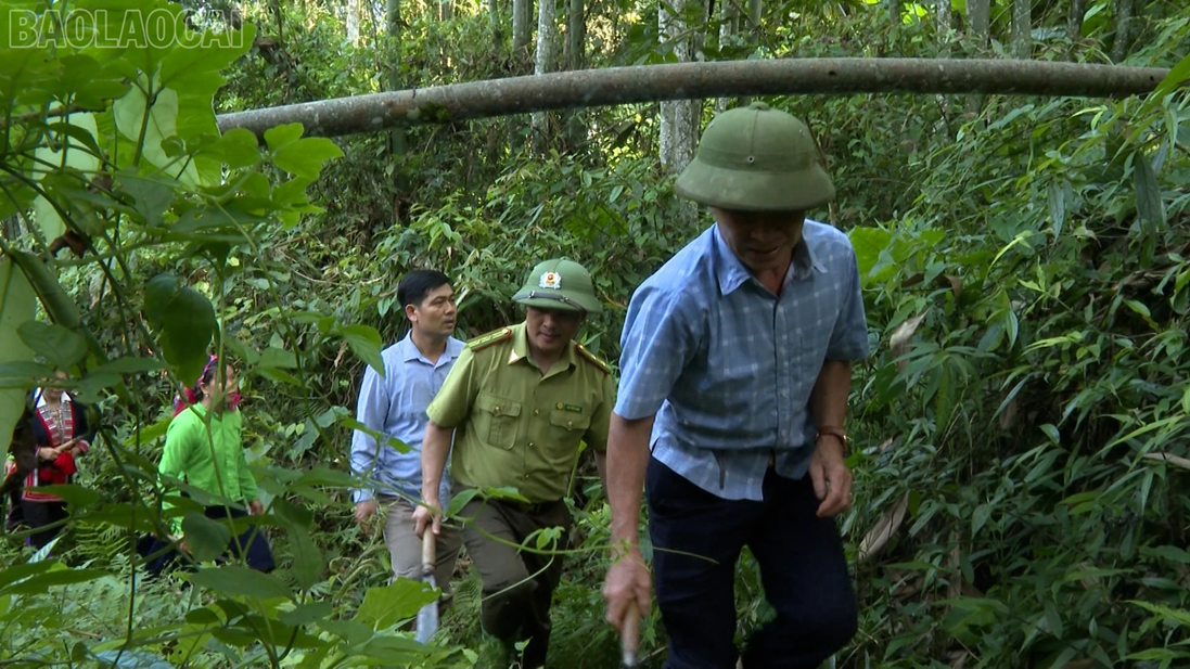 anh tin bai