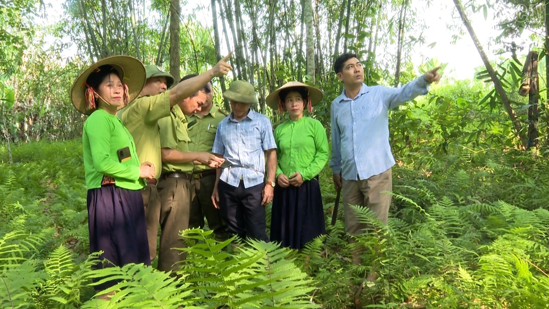 “Cánh tay nối dài” bảo vệ lá phổi xanh