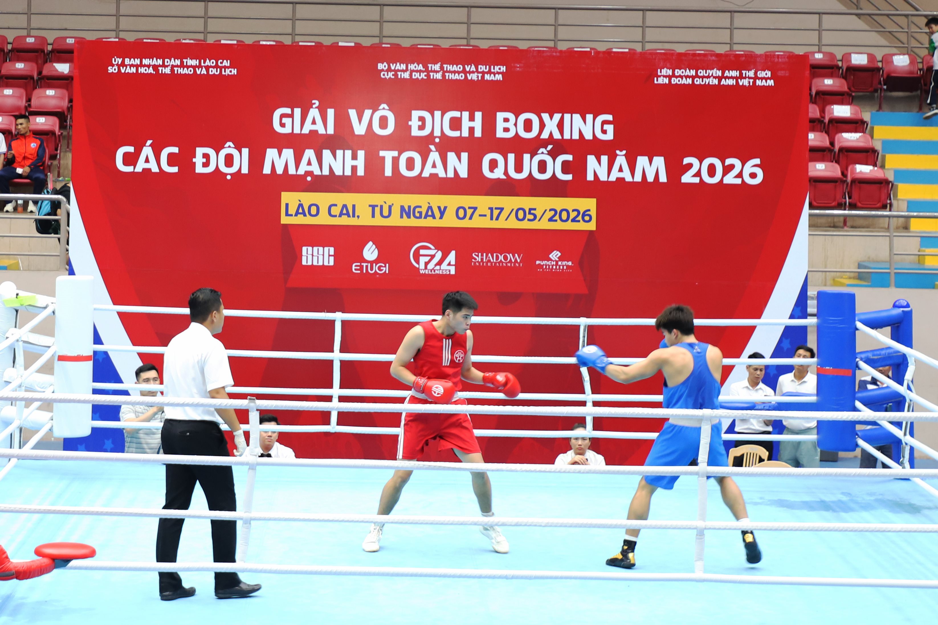 anh tin bai
