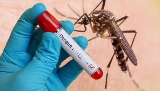 WHO cảnh báo nguy cơ lây lan cao của virus Chikungunya