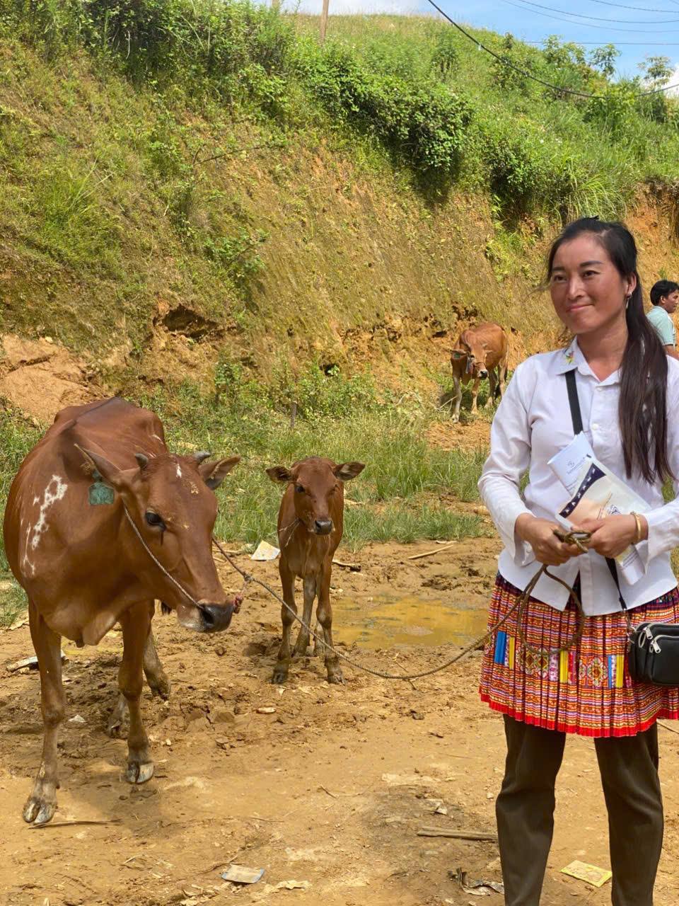 anh tin bai