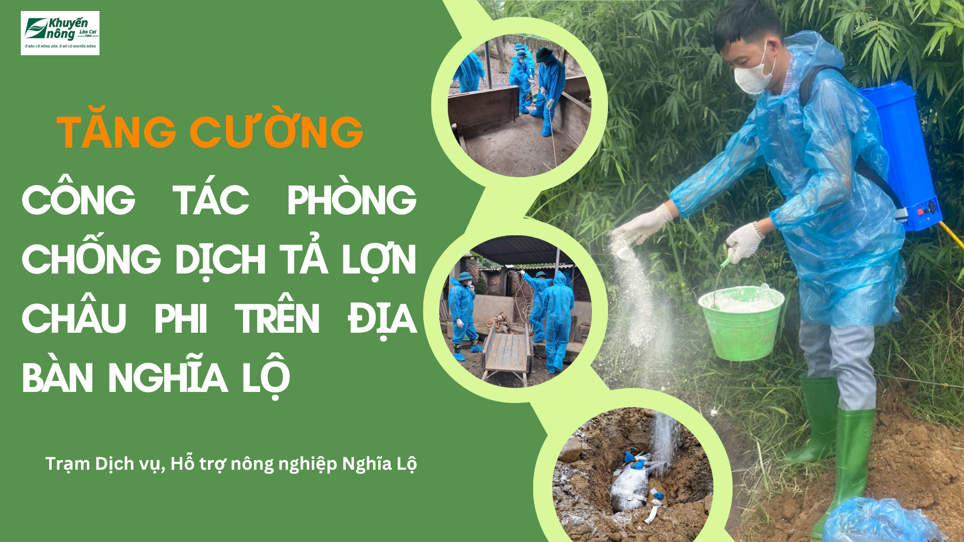 Tăng cường công tác phóng chống dịch tả lợn Châu Phi trên địa bàn xã Nghĩa Lộ