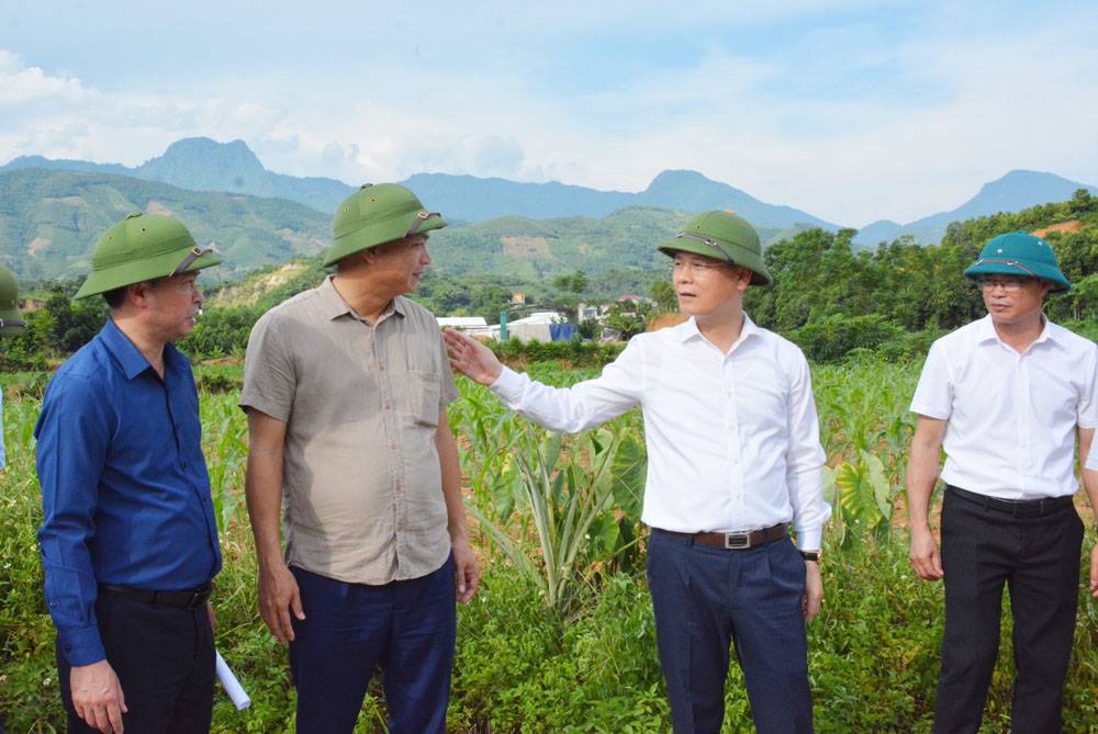 Phó Chủ tịch UBND tỉnh Nguyễn Thành Sinh kiểm tra công tác giải phóng mặt bằng Dự án đường sắt Lào Cai - Hà Nội - Hải Phòng (đoạn qua tỉnh Lào Cai)