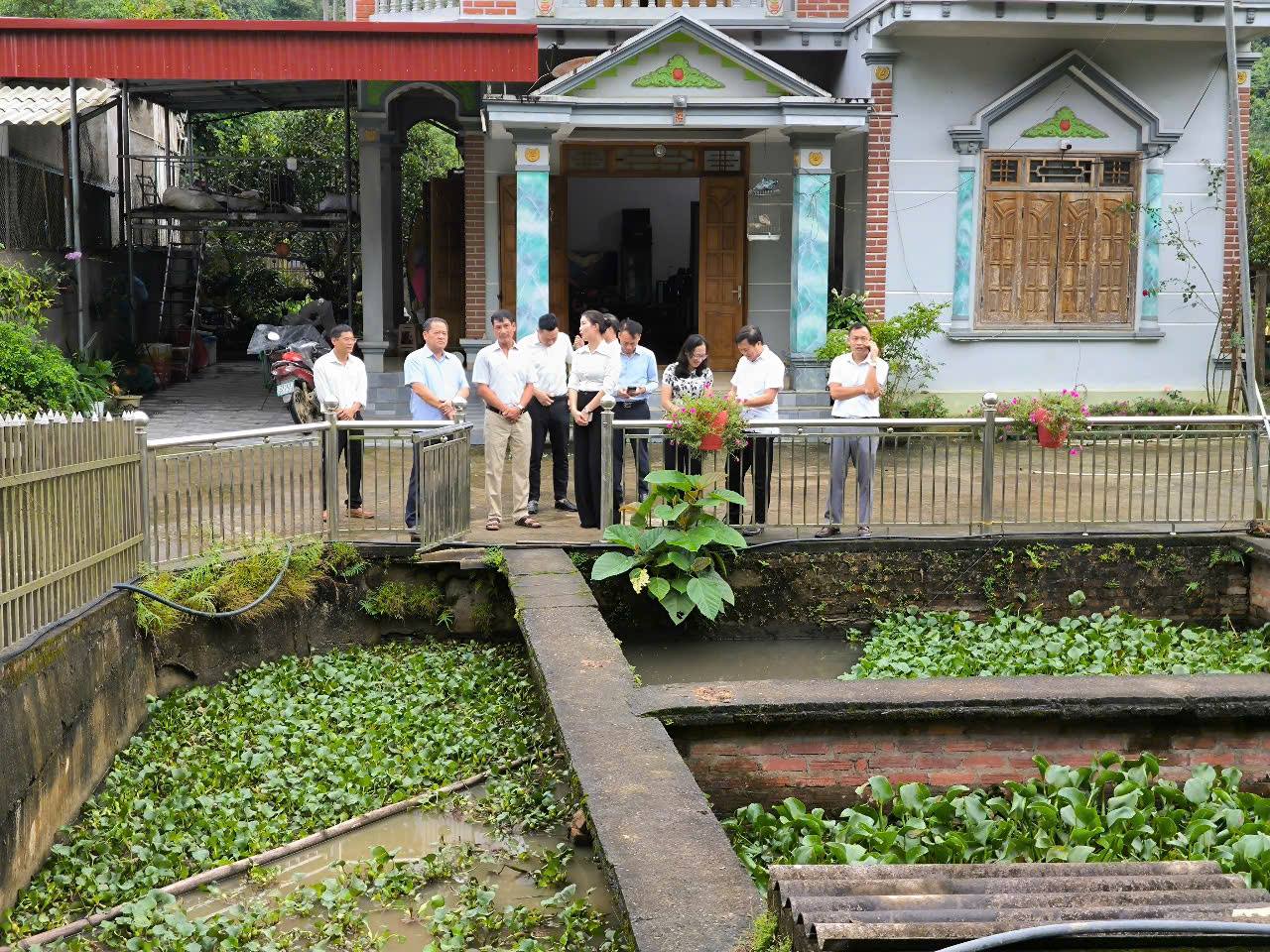Thường trực HĐND tỉnh khảo sát tại xã Cát Thịnh
