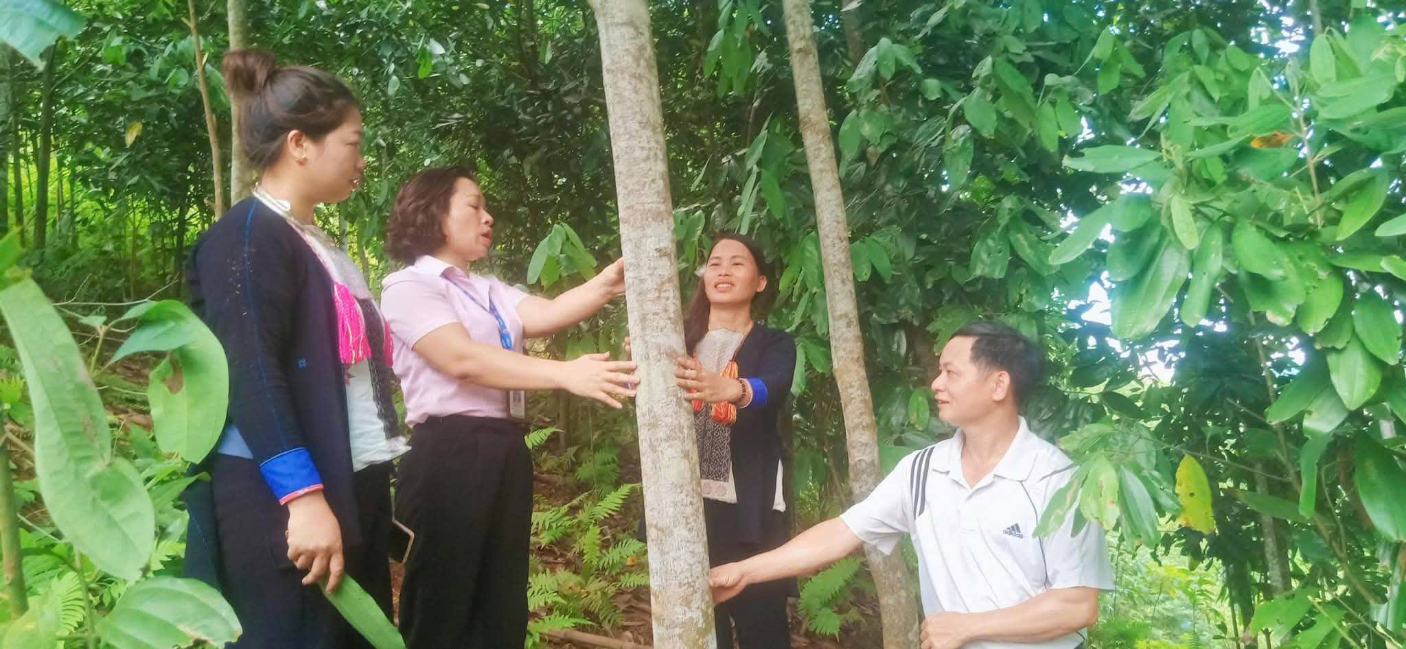 anh tin bai