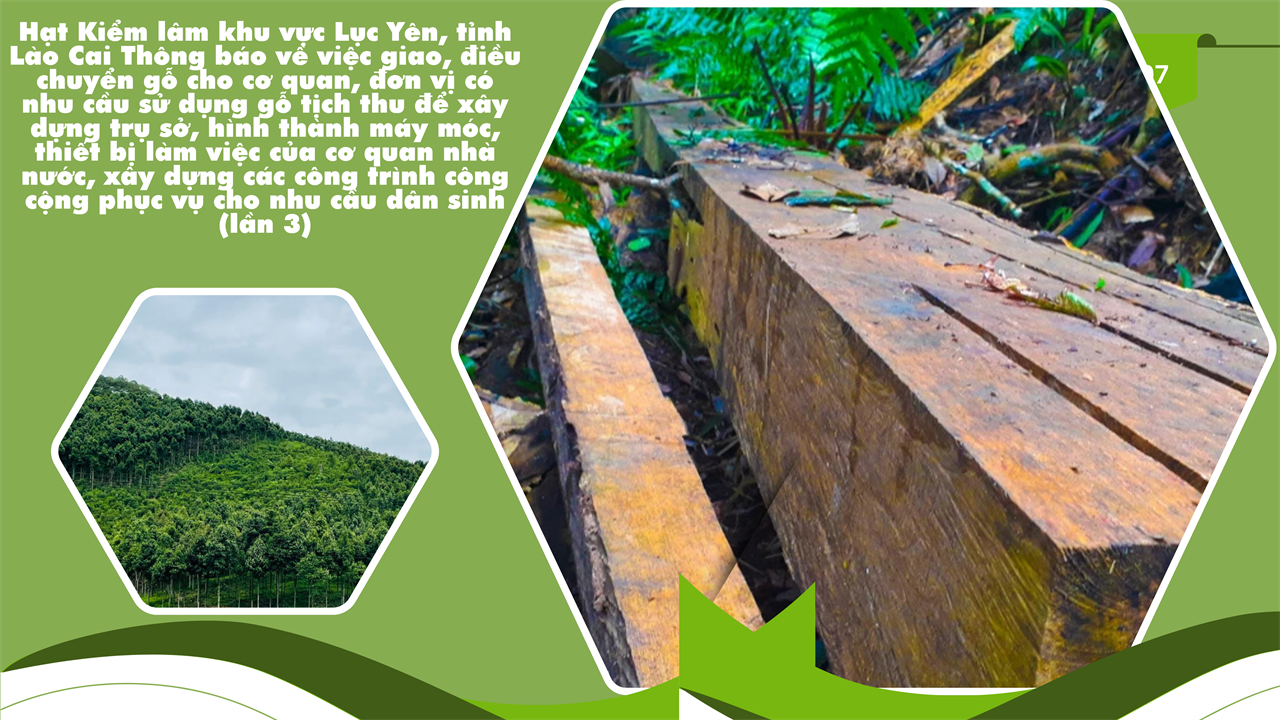 Hạt Kiểm lâm khu vực Lục Yên, tỉnh Lào Cai Thông báo về việc giao, điều chuyển gỗ cho cơ quan, đơn vị có nhu cầu sử dụng gỗ tịch thu để xây dựng trụ sở, hình thành máy móc, thiết bị làm việc của cơ quan nhà nước, xây dựng các công trình công cộng phục vụ cho nhu cầu dân sinh (lần 3)