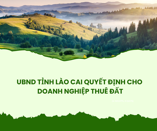 UBND tỉnh Lào Cai quyết định cho Công ty Cổ phần Đầu tư Vạn Thắng thuê đất