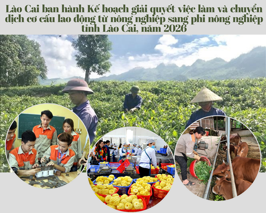 Lào Cai ban hành Kế hoạch giải quyết việc làm và chuyển dịch cơ cấu lao động từ nông nghiệp sang phi nông nghiệp tỉnh Lào Cai, năm 2026