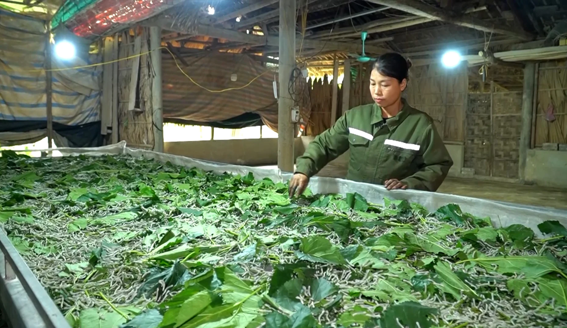 Điểm tin về Lào Cai ngày 01/6/2026
