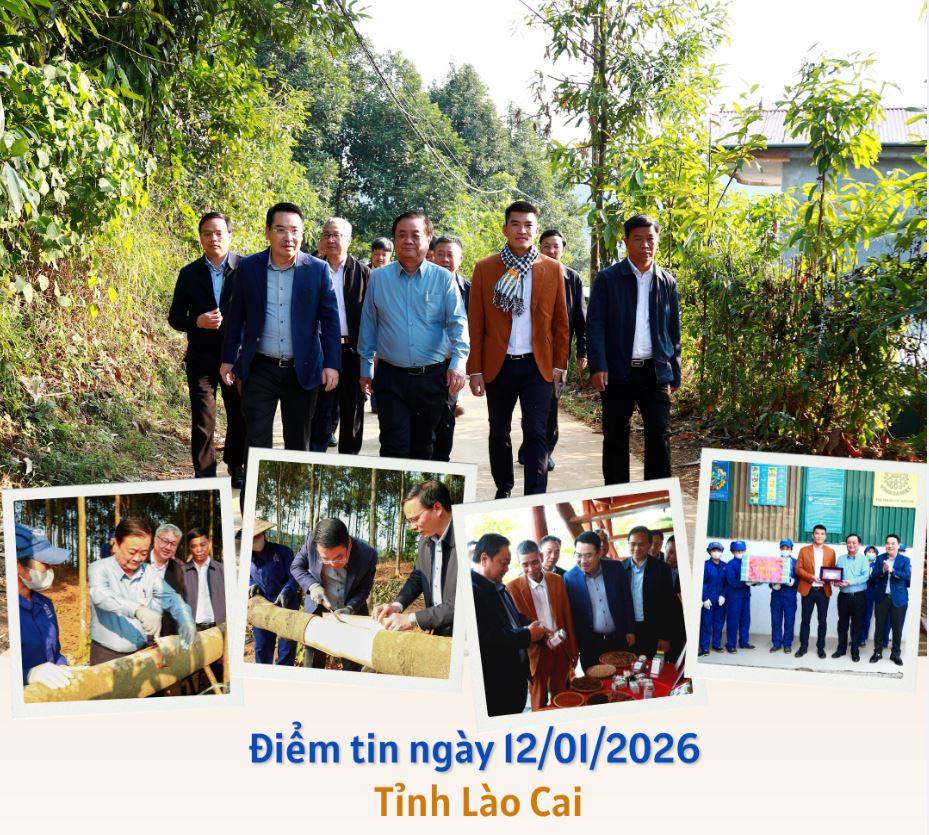 Điểm tin về Lào Cai ngày 12/01/2026