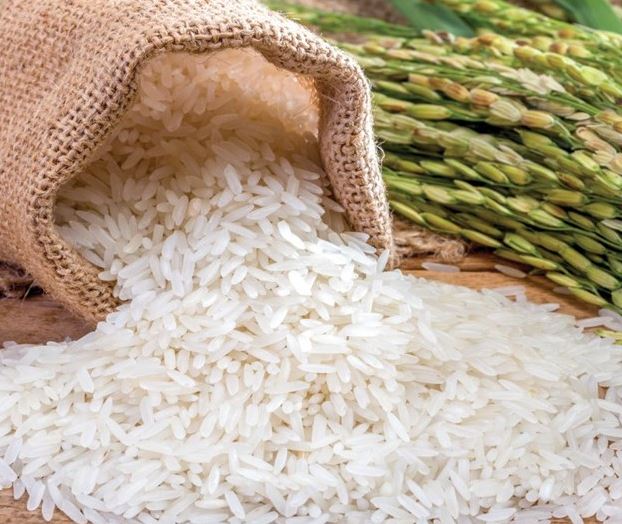 Gạo Séng Cù Mường Lò niềm tự hào nông sản vùng cao