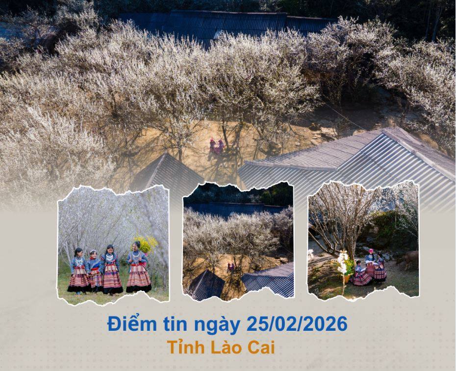 Điểm tin về Lào Cai ngày 25/02/2026