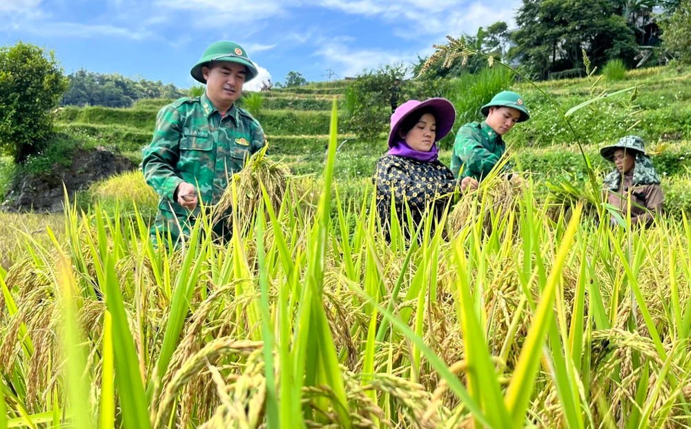 Điểm tin về Lào Cai ngày 03/6/2026