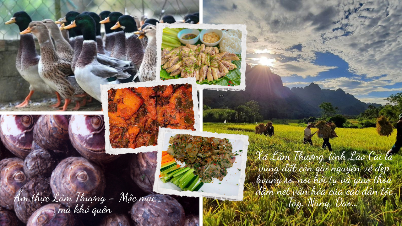Hương sắc ẩm thực Lâm Thượng giữa núi rừng Lào Cai