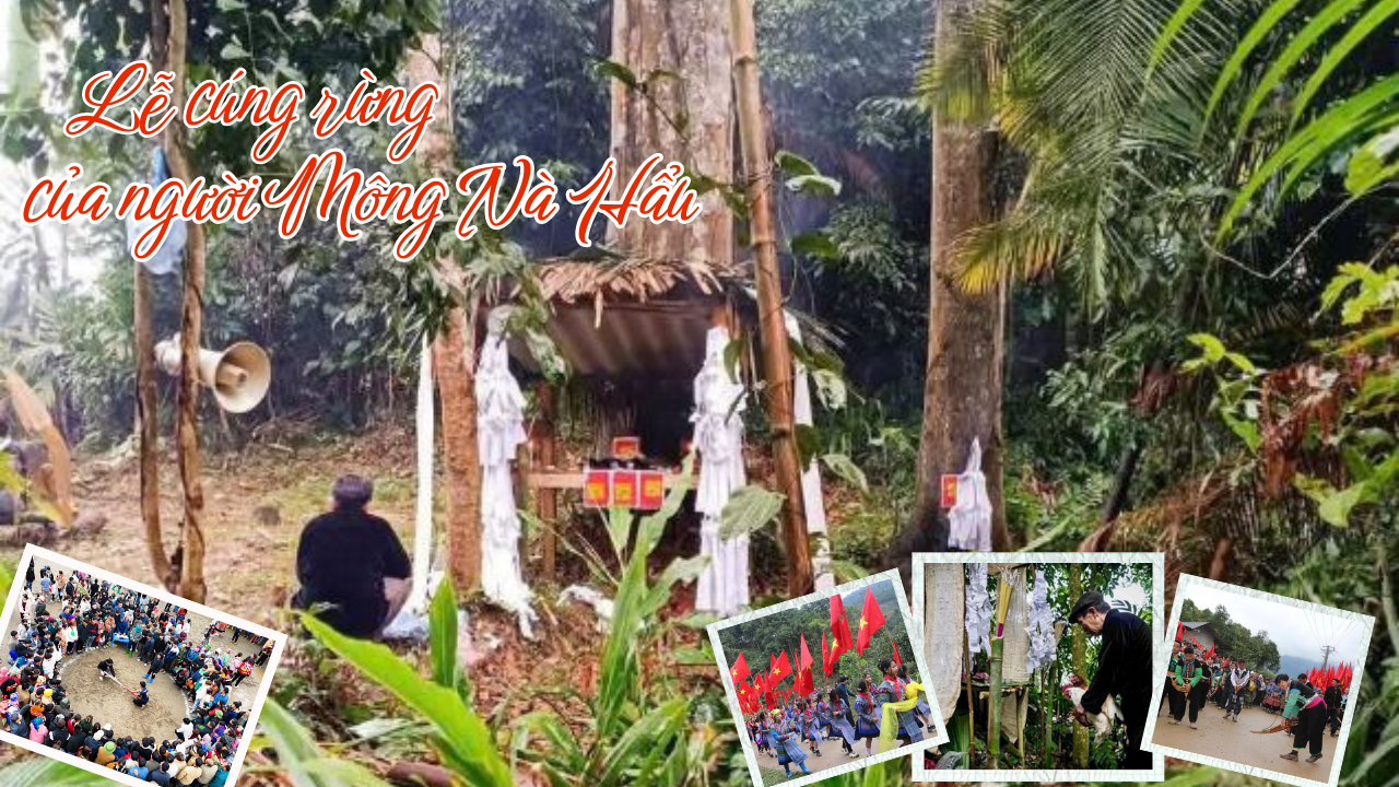 Lễ cúng rừng – Phong tục linh thiêng của người Mông Nà Hẩu