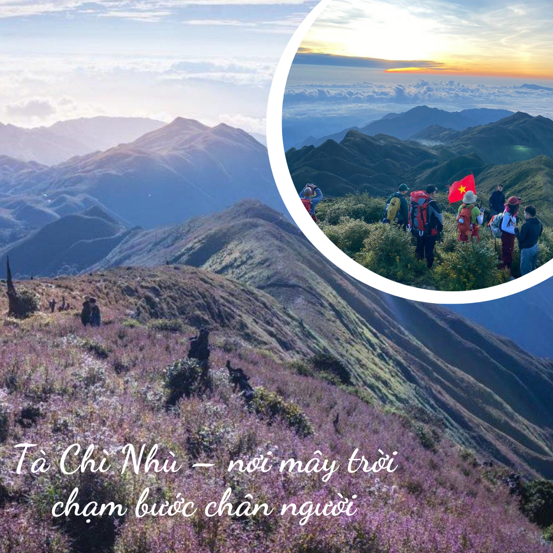 Chinh phục Tà Chì Nhù - thiên đường mây và hoa tím