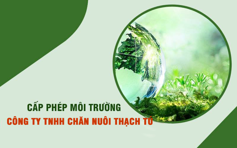 Cấp phép cho Công ty TNHH chăn nuôi Thạch Tú
