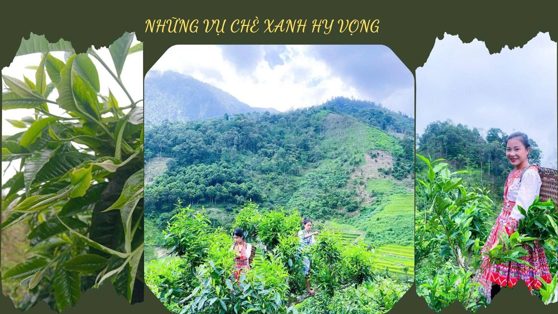 Điểm tin về Lào Cai ngày 22/4/2026