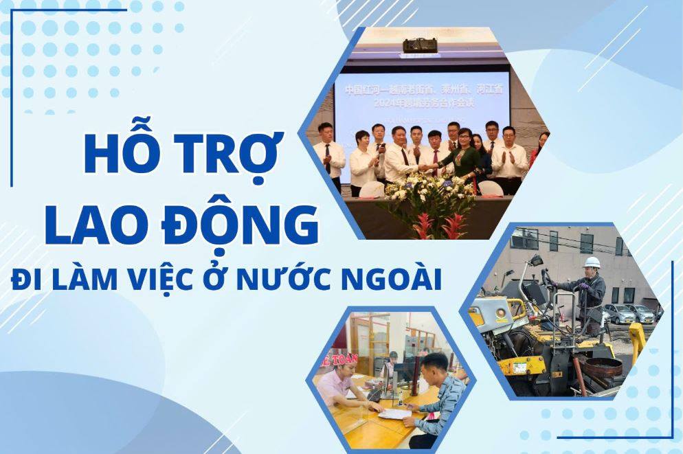 Hỏi - Đáp về cơ cấu tổ chức của Quỹ Hỗ trợ việc làm ngoài nước