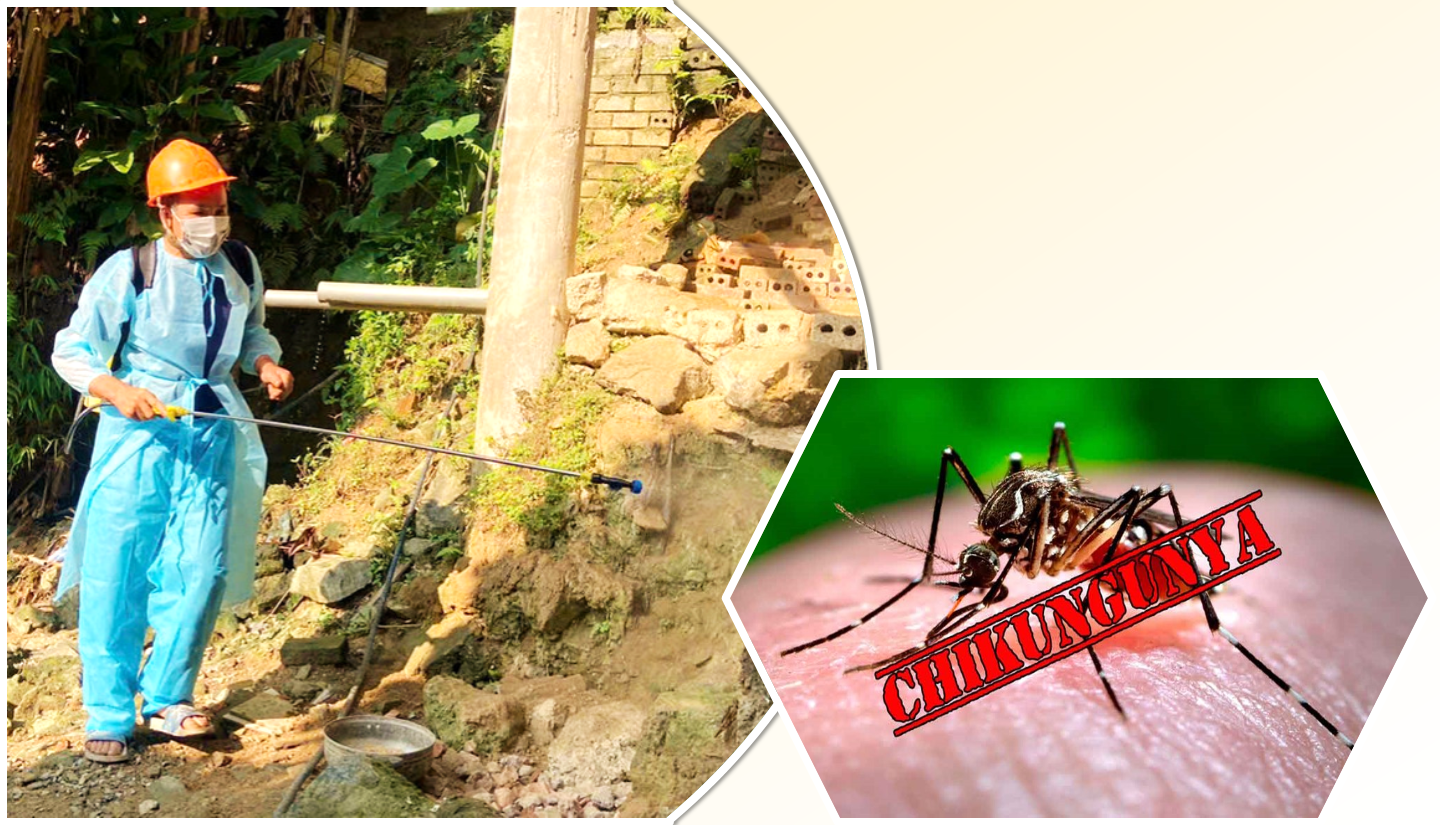 Tăng cường công tác phòng, chống bệnh Chikungunya và bệnh Sốt xuất huyết trên địa bàn tỉnh