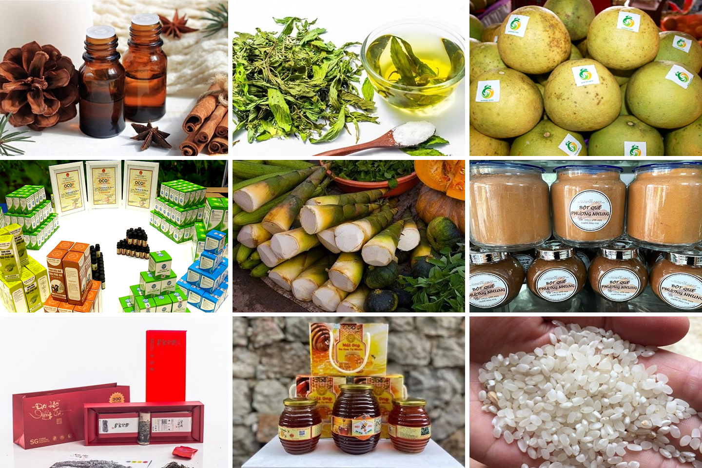 Quy chế hoạt động của Hội đồng đánh giá, phân hạng sản phẩm OCOP tỉnh Lào Cai