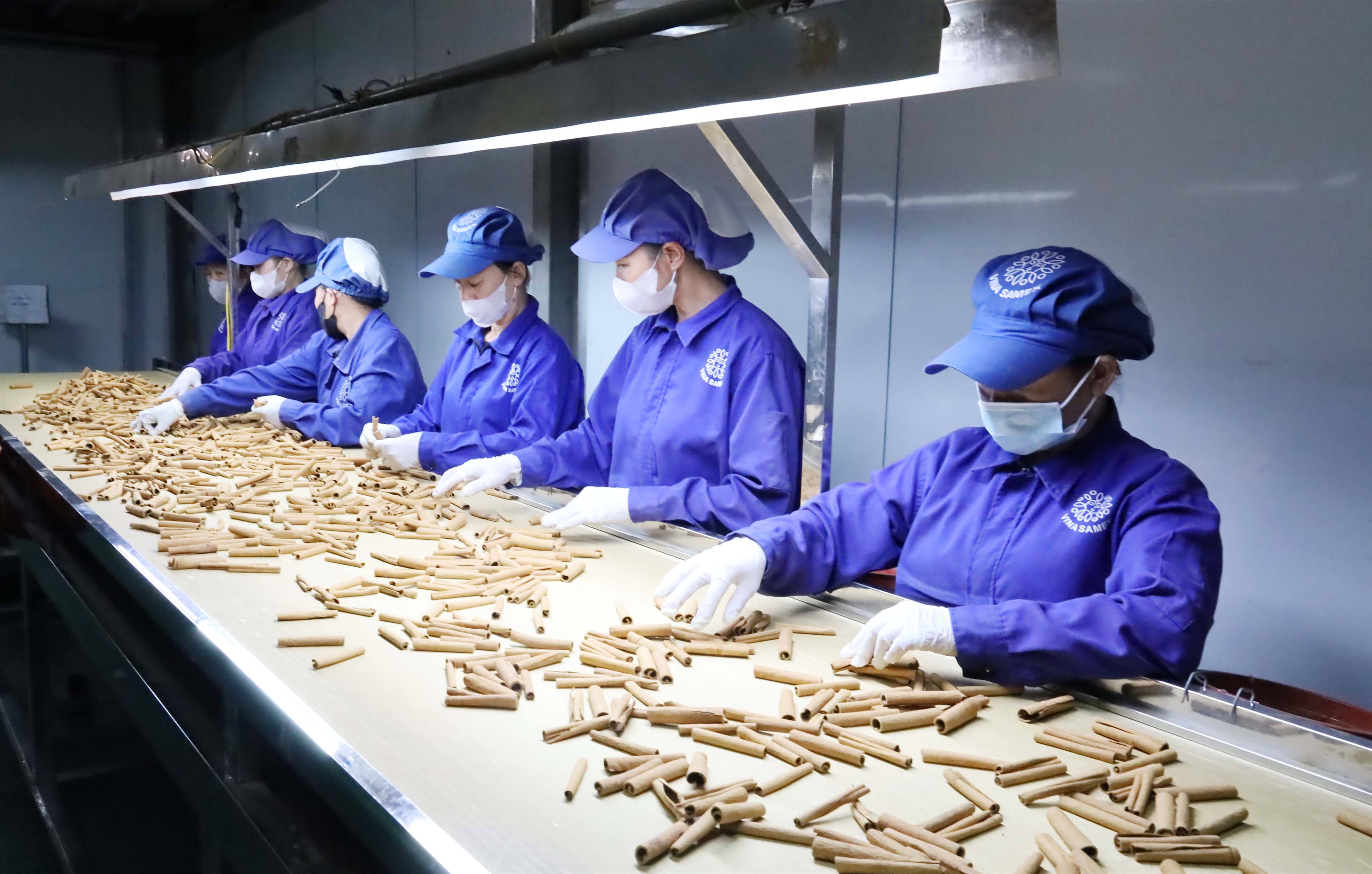 Chính sách ưu đãi thuế phát triển kinh tế tư nhân