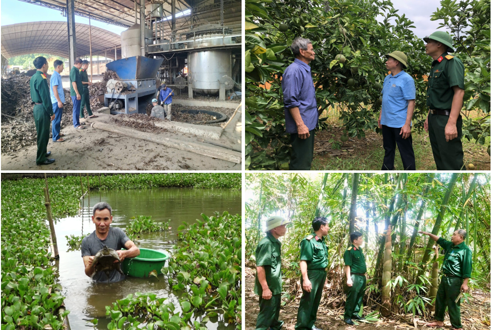 Hội Cựu chiến binh tỉnh đẩy mạnh phát triển kinh tế - xã hội, góp phần giữ vững quốc phòng, an ninh
