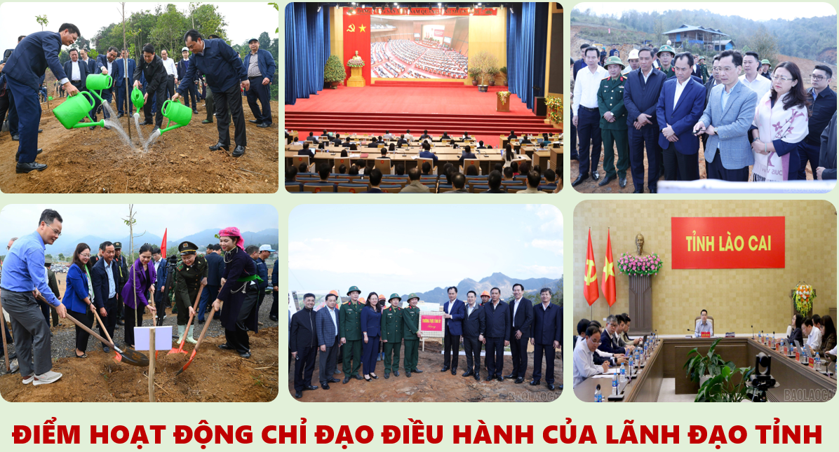 Điểm hoạt động chỉ đạo điều hành của Lãnh đạo tỉnh trong tuần (từ 23/2 - 01/3/2026)