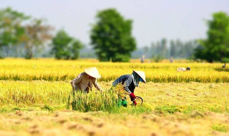 Nâng cao nhận thức về đào tạo nghề lao động nông thôn đối với phát triển kinh tế - xã hội