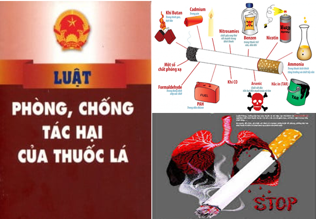 Đẩy mạnh phòng, chống tác hại của thuốc lá vì sức khỏe cộng đồng