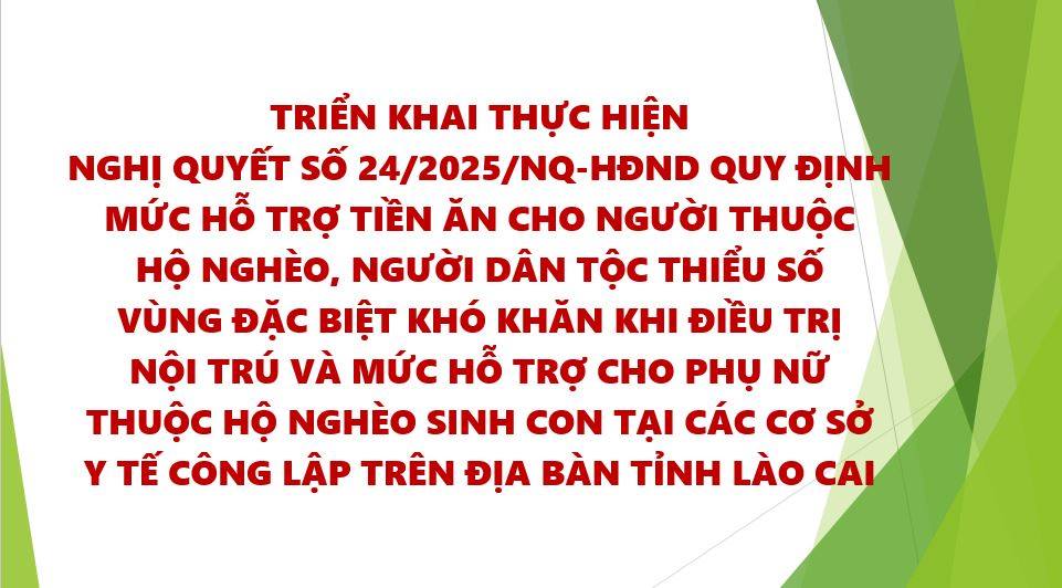 UBND tỉnh chỉ đạo triển khai thực hiện Nghị quyết số 24/2025/NQ-HĐND của HĐND tỉnh