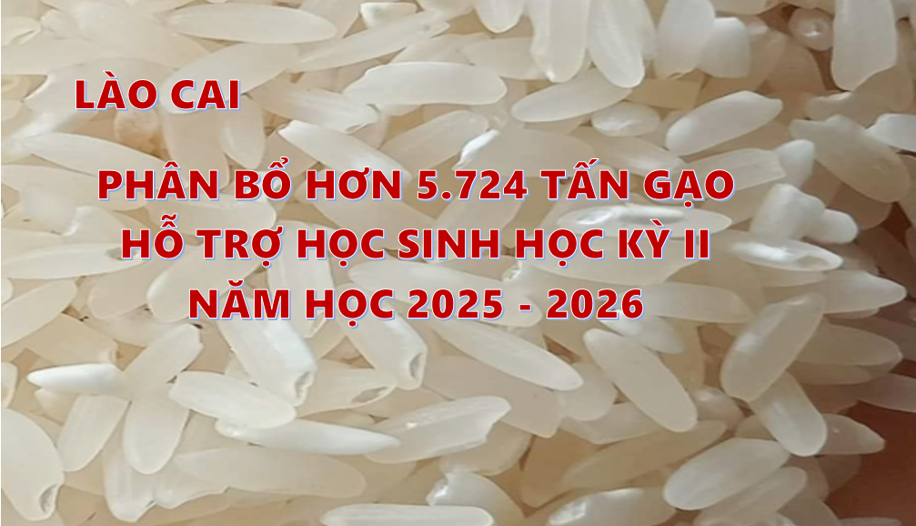 Lào Cai phân bổ hơn 5.724 tấn gạo hỗ trợ học sinh học kỳ II năm học 2025 - 2026