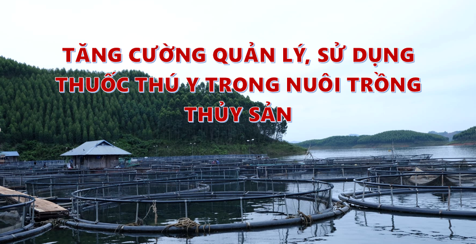 Tăng cường quản lý, sử dụng thuốc thú y trong nuôi trồng thủy sản