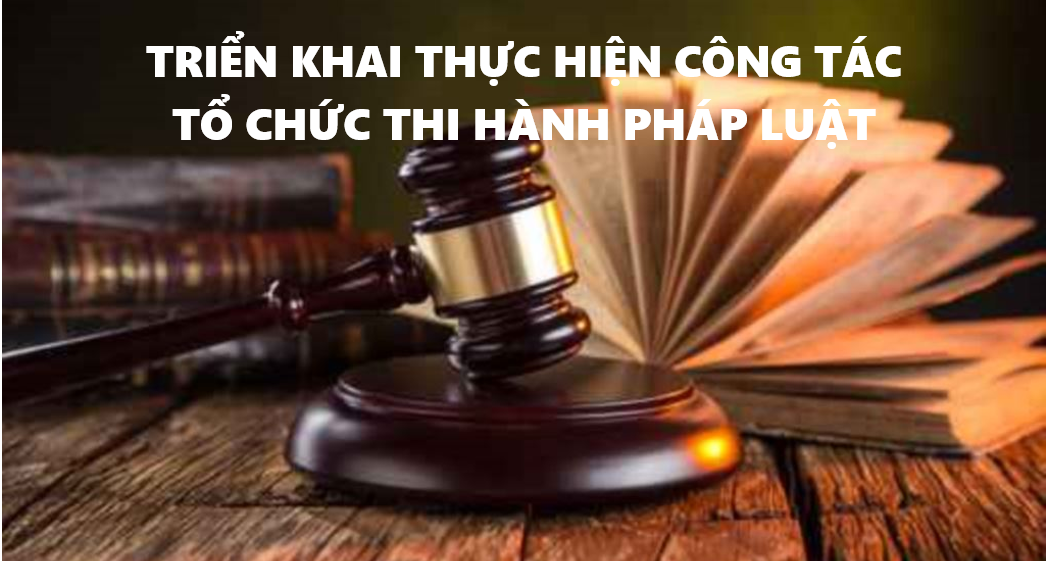 Lào Cai tăng cường tổ chức thi hành pháp luật trên địa bàn tỉnh