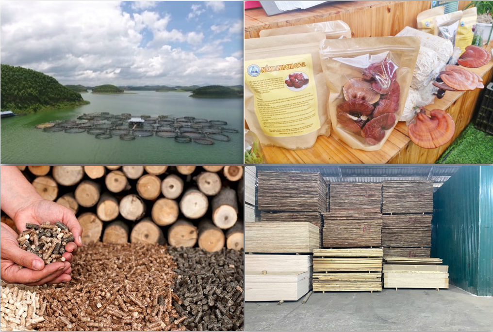 Lào Cai đẩy mạnh ứng dụng khoa học và công nghệ thúc đẩy phát triển nông thôn, miền núi