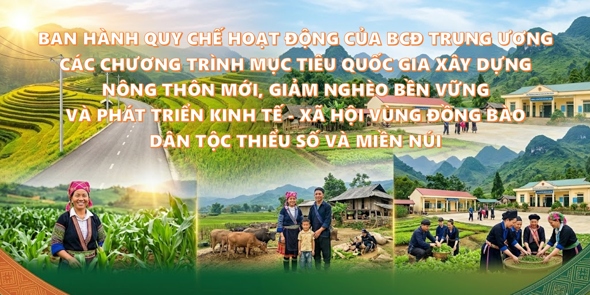 Quy chế hoạt động của Ban Chỉ đạo Trung ương các Chương trình mục tiêu quốc gia dựng nông thôn mới, giảm nghèo bền vững và phát triển kinh tế - xã hội vùng đồng bào dân tộc thiểu số và miền núi