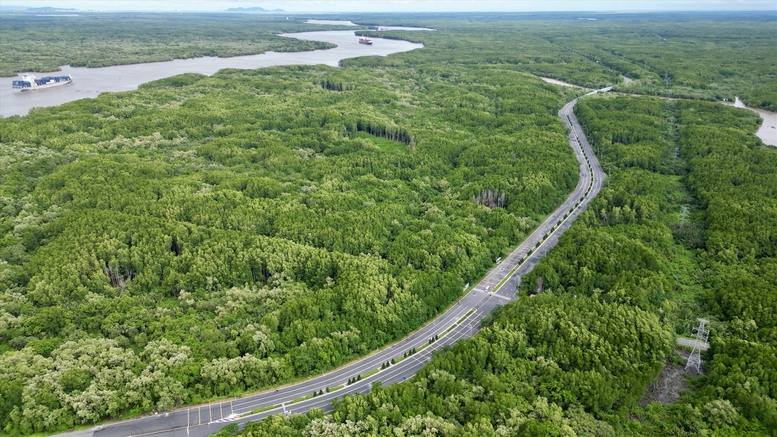 Bổ sung quy định về tạm sử dụng rừng để thi công các dự án cấp thiết
