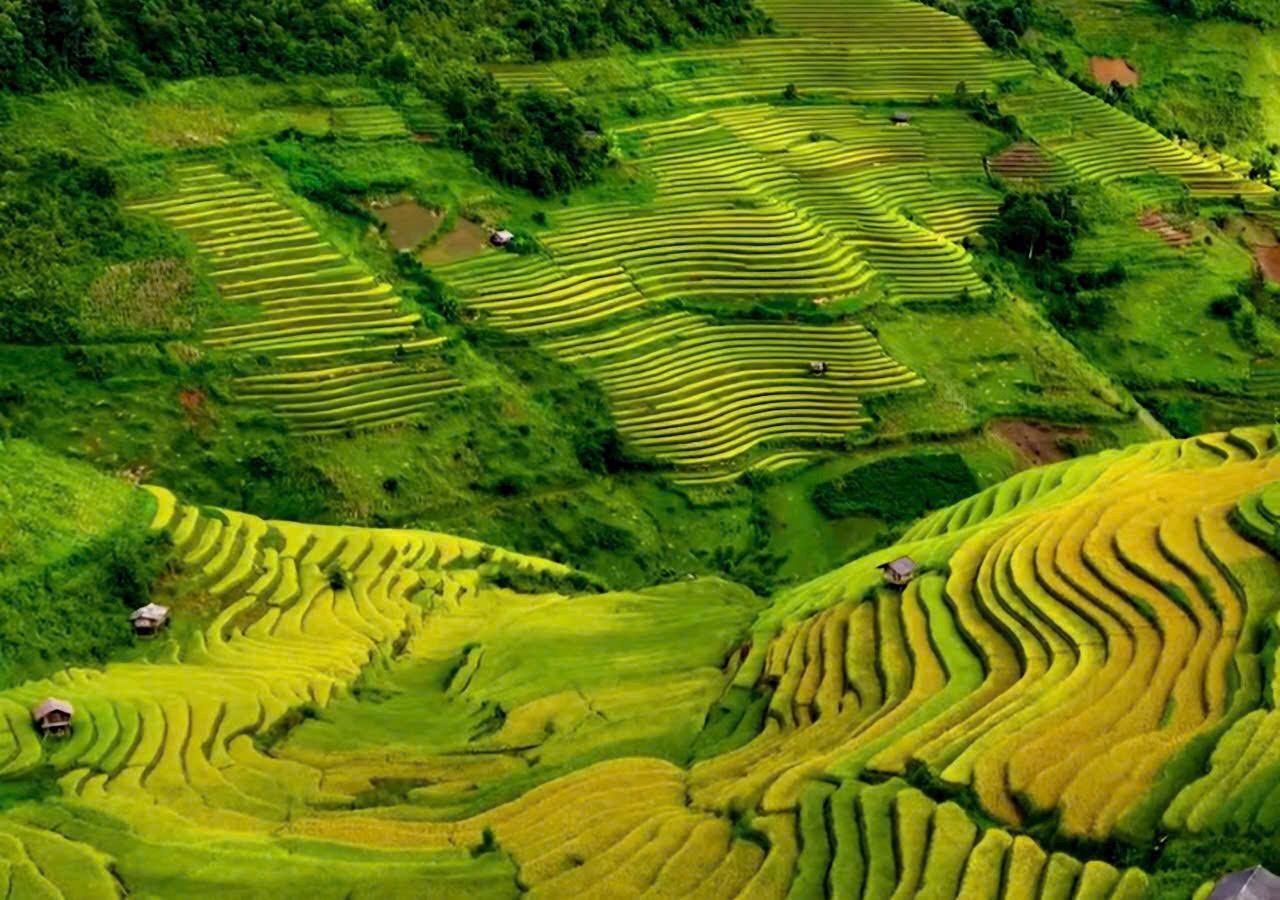 Mu Cang Chai golden season festival 2025