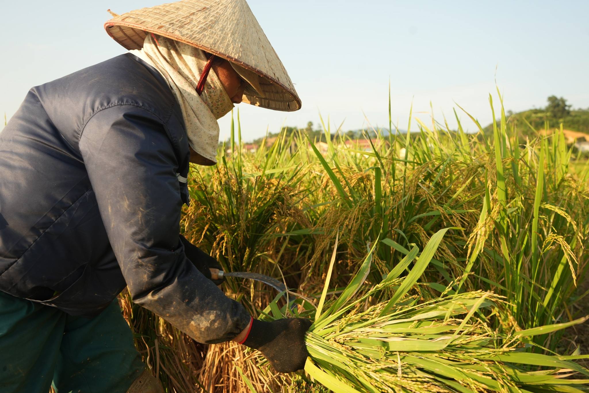 Phong trào xây dựng nông thôn mới lan tỏa mạnh mẽ sau sáp nhập tại xã Trấn Yên