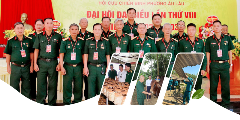 Phát huy truyền thống “Bộ đội Cụ Hồ” trong phát triển kinh tế - xóa đói giảm nghèo của Cựu chiến binh phường Âu Lâu