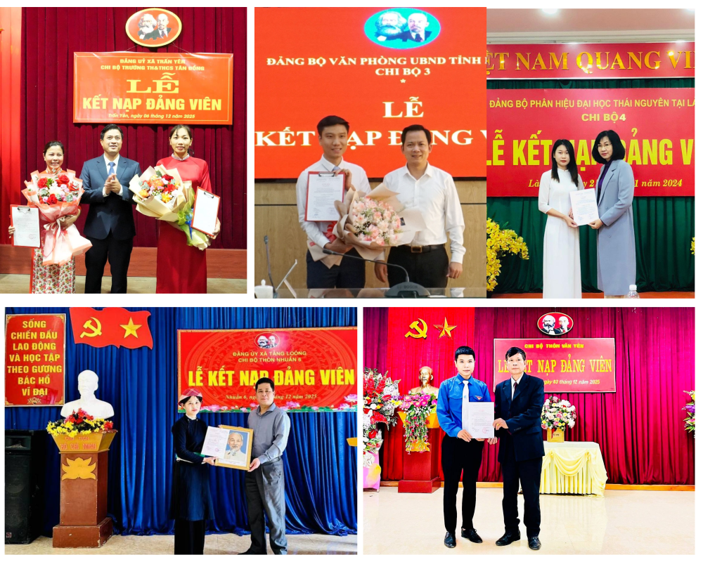 Tỉnh Lào Cai phấn đấu kết nạp 3.635 đảng viên trong năm 2026
